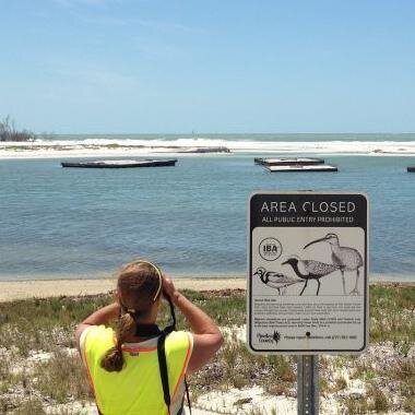 I'm an environmental activist and shorebird nesting volunteer lucky enough to work for the birds! Certified USACE Bird Monitor