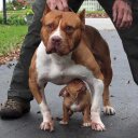 dave mercer - @davemercer883 - Twitter