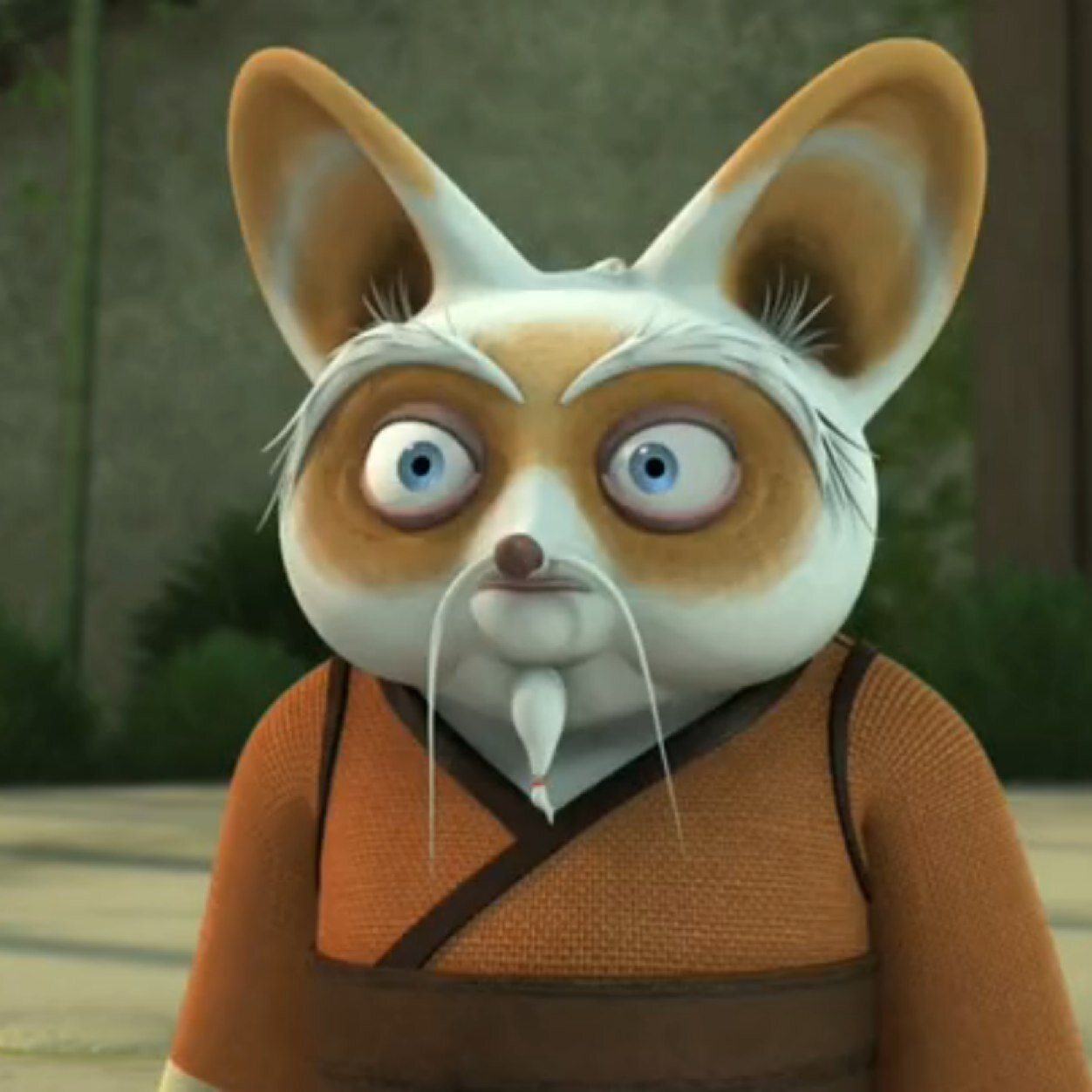 Image result for master shifu