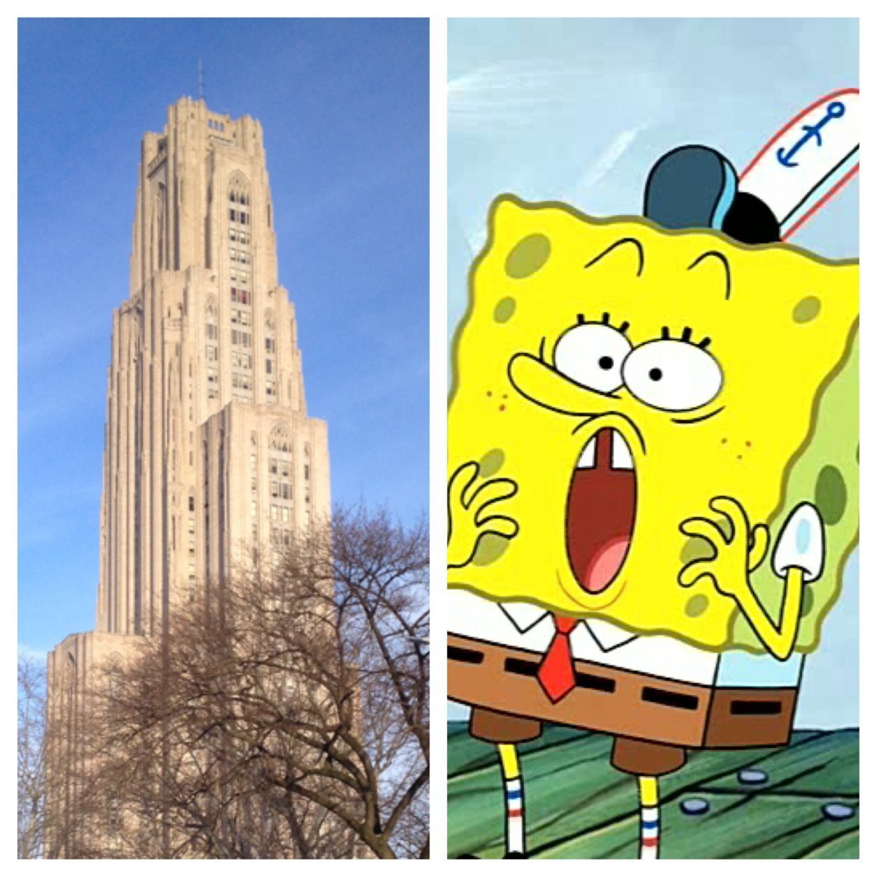 Where Spongebob meets Pitt