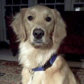 jsl1962's profile picture. 