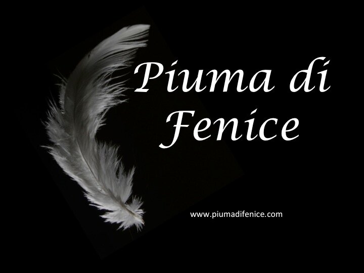 PIUMADIFENICEMX's profile picture. GALARDON INTERNACIONAL. 
http://t.co/Mrls7et5U3