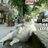 gjsqb98662726's profile image