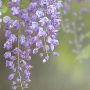 TheWrightTouch7's profile picture. The Wright Touch Massage has partnered with Smith Chiropractic and now offers swedish massage, sports massage, deep tissue massage and reflexology. 478-442-0014