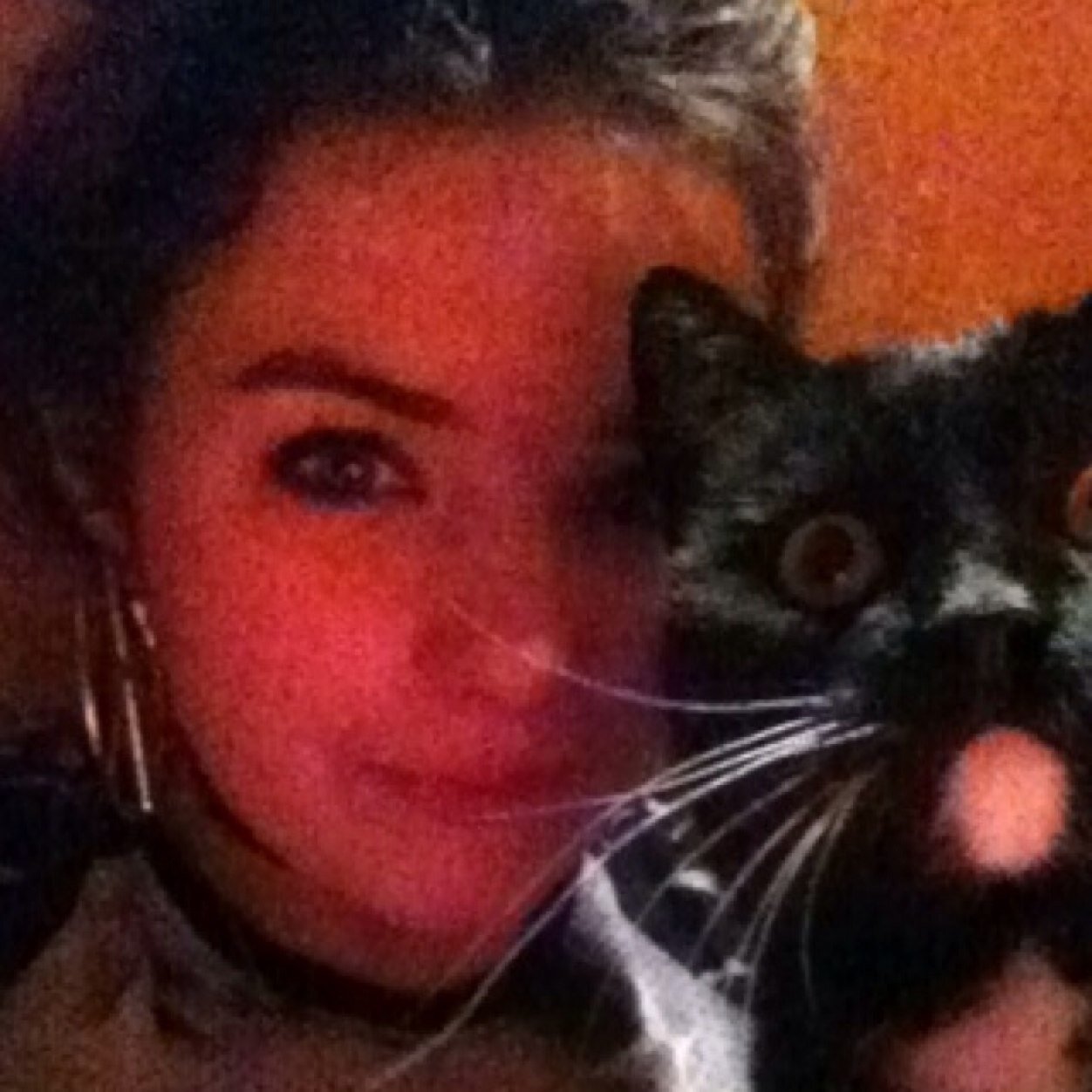 i like cats.