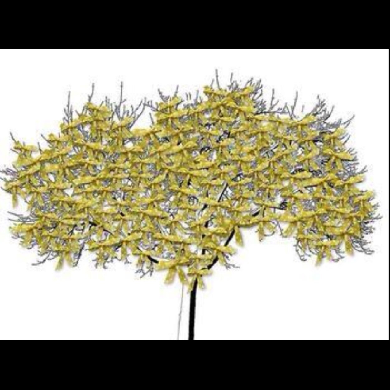 kass0523's profile picture. 