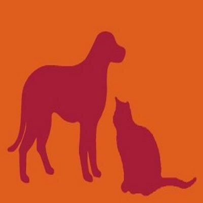 Pet & Property Sitters: professional pet sitters to care for your home & pets.  Facebook: https://t.co/RMZigr3B0Y
#petsitters #dogs #cats #horses #petsitting