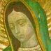 vaticanocatolico.com (@vcatolico) Twitter profile photo