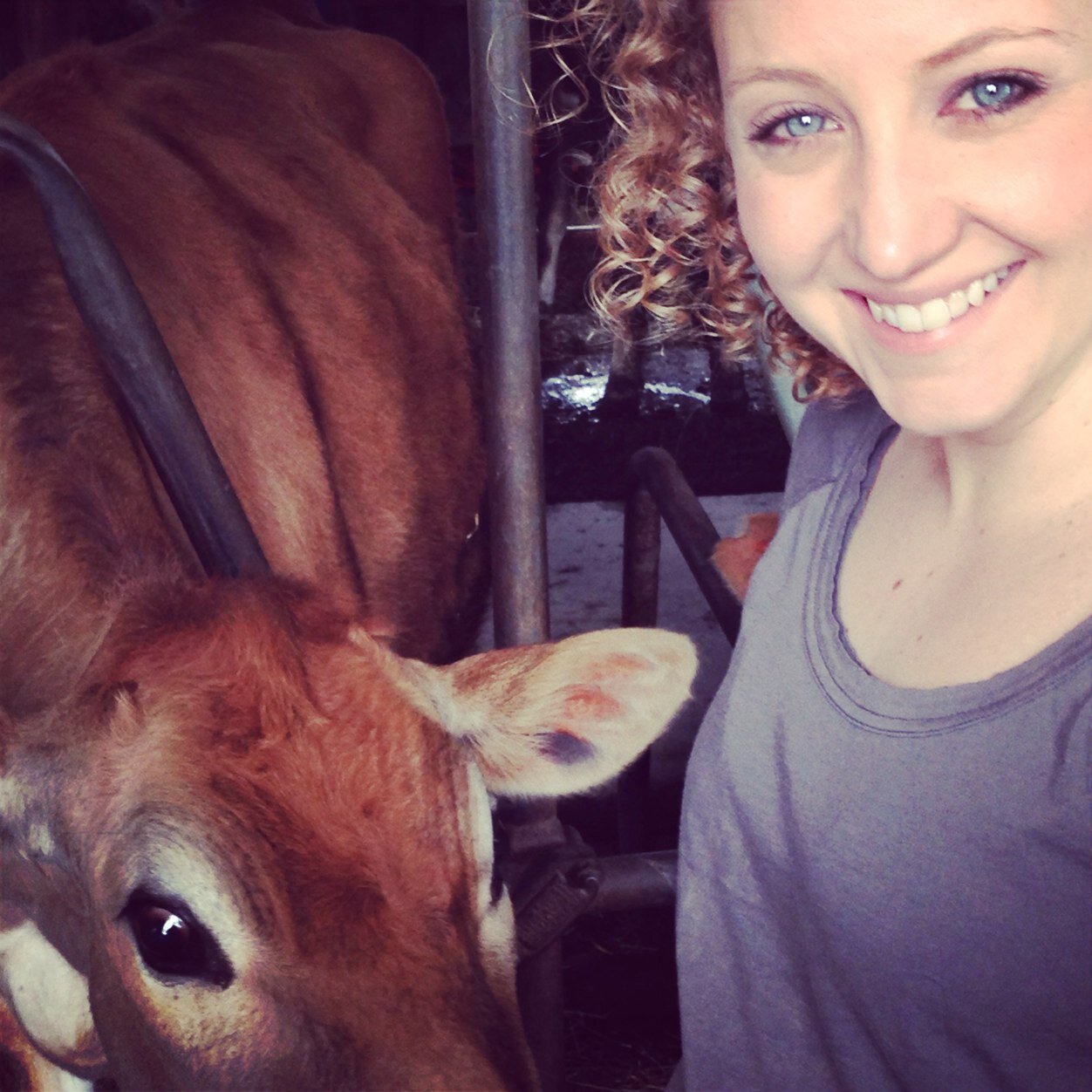 AllisonCEmmiUSA's profile picture. Filling in the holes of Swiss cheese marketing in the USA, one stinky rind at a time.