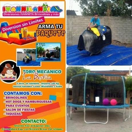 Somos una pequeña empresa familiar, dedicada  a ofrecer mucha diversión a nuestros pequeños por medio de nuestros inflables y sobre todo con el Toro Mecanico...