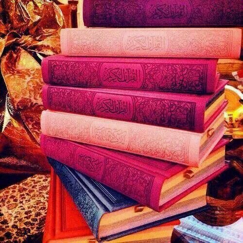 26_shifaa's profile picture. شرقيّة أصلِ وفكر ، أتقلّد الحريّة أكتسي البساطة وأعيشُ بسلام '