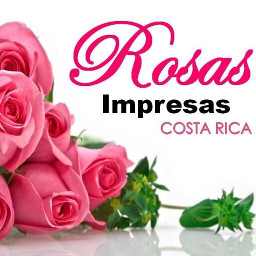comerciante, con rosas impresas costa rica