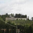 Tracy New - @tracynew - Twitter