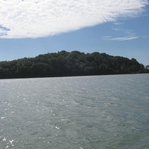 Konistyl's profile picture. 