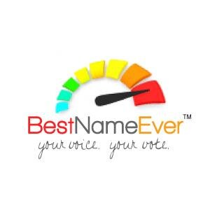 BestNameEver101's profile picture. Best Name Ever has been designed to help name a company, business or product.  People also submit their business name ideas to get feed back from followers.
