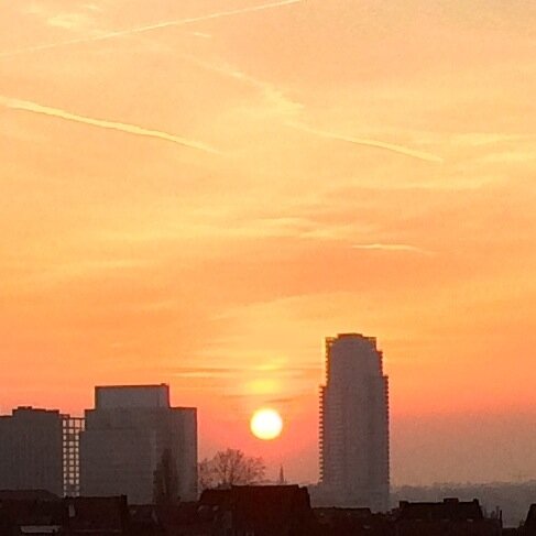 julaussie's profile picture. 