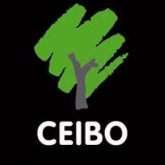 Ceibo Producciones 
Ediciones, Audiovisual y Sello Musical.  ceibo.ediciones@gmail.com