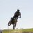 gamero4's profile image