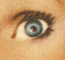 WienerInATree's profile picture. I throw hot dogs at moving cars!