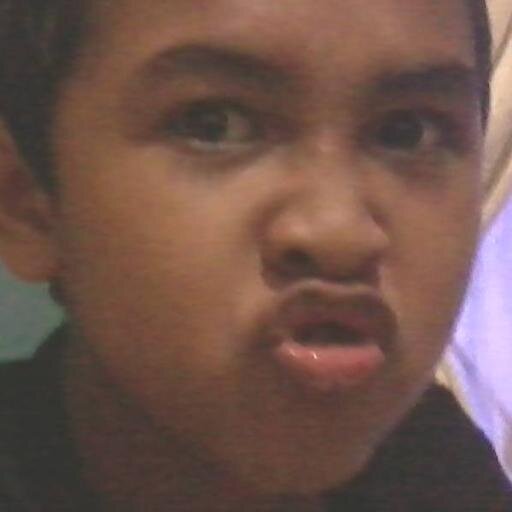 momotmeco