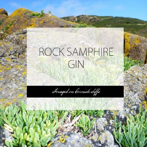 Please follow our brand new account @curiospirits for all news and info! Thanks!