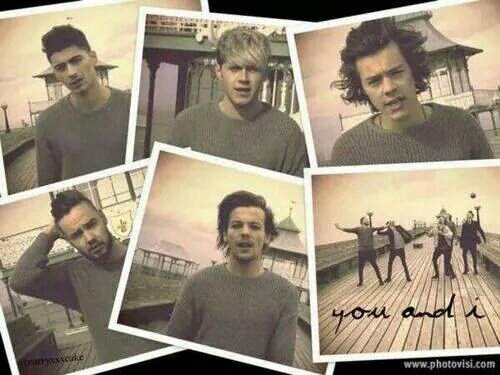 ONE DIRECTION = my life !✌