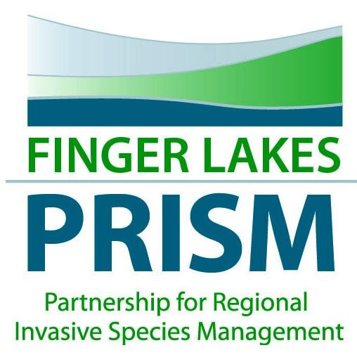 Finger Lakes Partnership for Regional Invasive Species Management- your resource for education, outreach, and control for the 17 counties of the Finger Lakes.