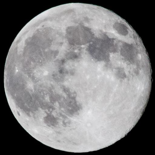 ghphotog's profile picture. Great Heights Photography shoots people for fun and money. We shoot places and animals too.  Also things.