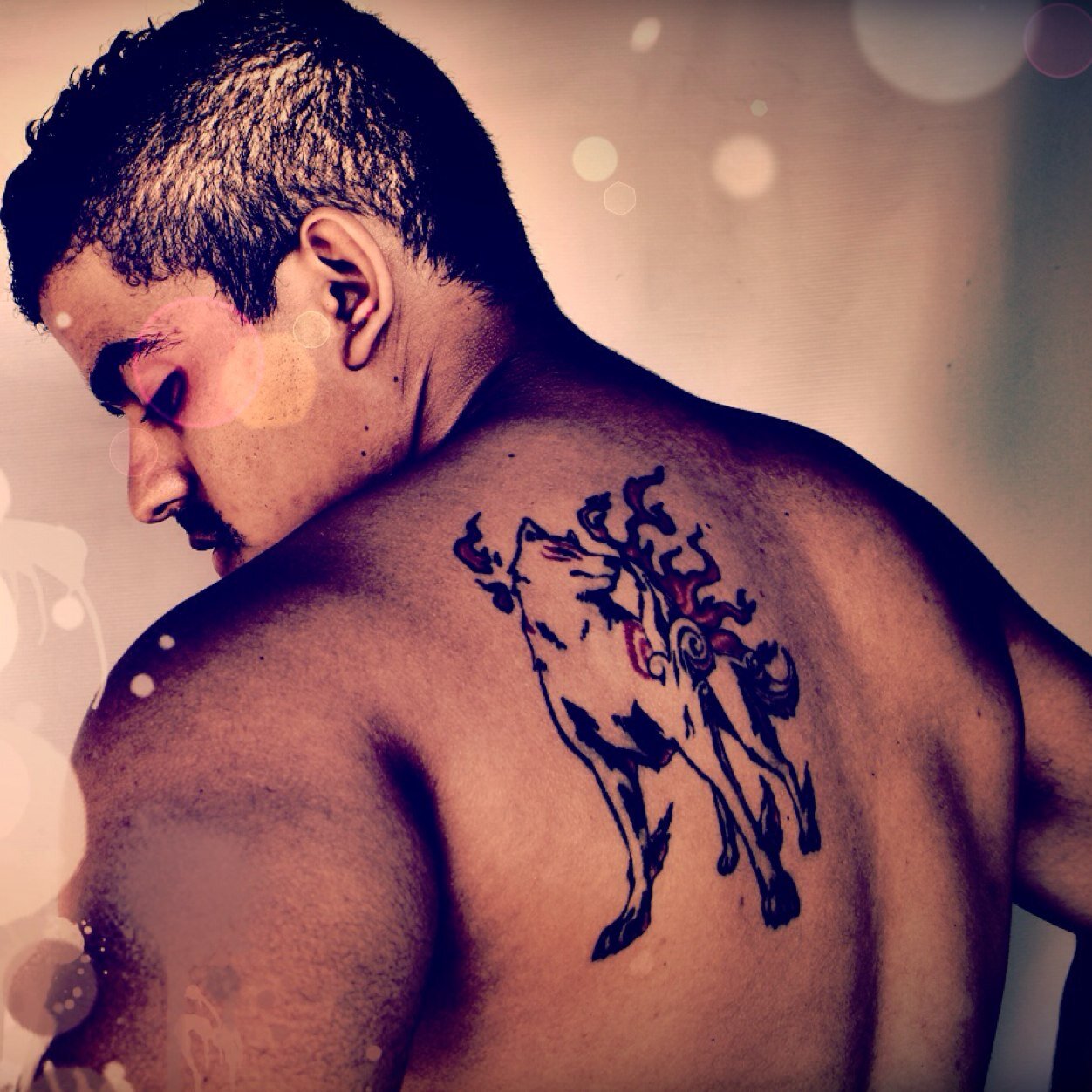 KakoZabine's profile picture. Siga-me se for capaz.