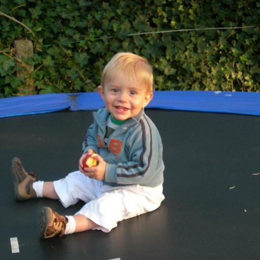 Koenrobeys's profile picture. "Words ought to be a little wild for they are the assault of thought on the unthinking"

Ik deel veel rode idealen maar daarvoor hebben we blauwe middelen nodig