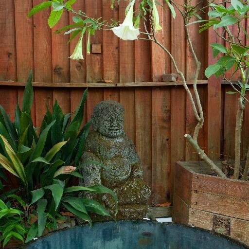 Community baths and sauna and private baths in a peaceful outdoor garden setting.