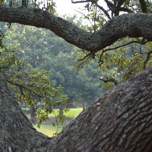 Barbnice's profile picture. Marketing Communication Design