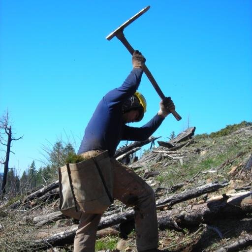 Manager of Forest Restoration Programs at the Arbor Day Foundation