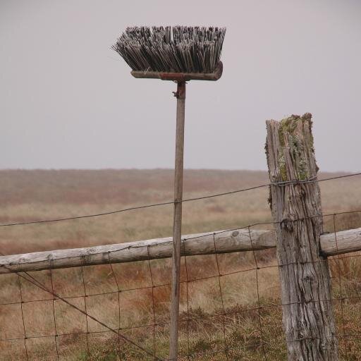 CoalFace1's profile picture. Bleurrrgghh