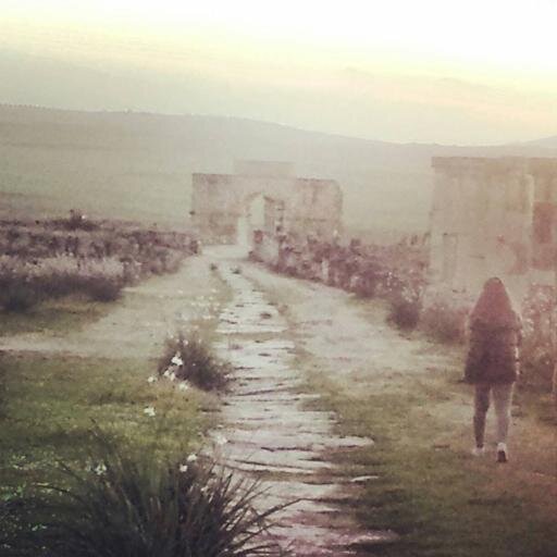 _Zaynicious's profile picture. • L'échec n'est pas la chute. L'échec est de rester là où nous sommes tombés.     -     j'unfollow back