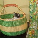 Gail Cooke - @GailCooke - Twitter