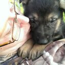 Bethany Hoffman - @Weezy_B9 - Twitter