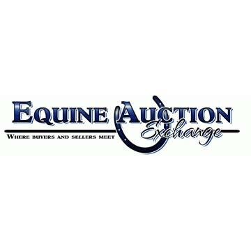 Welcome to Equine Auction Exchange, “Where Buyers & Sellers Meet”.