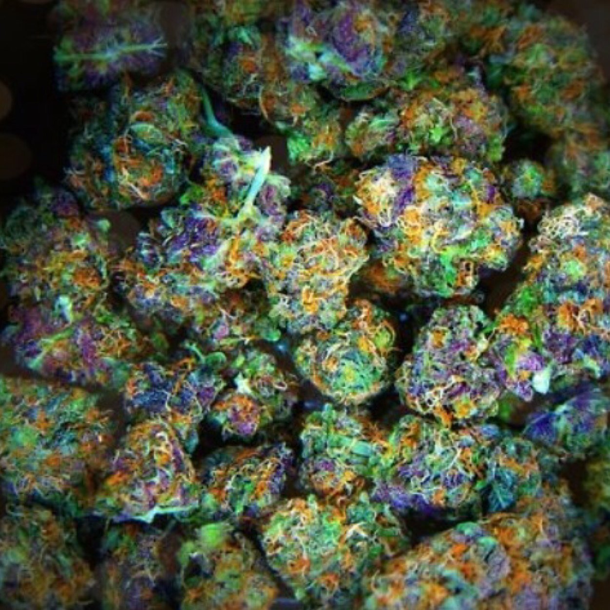 Tell me all your stoner stories(18+).