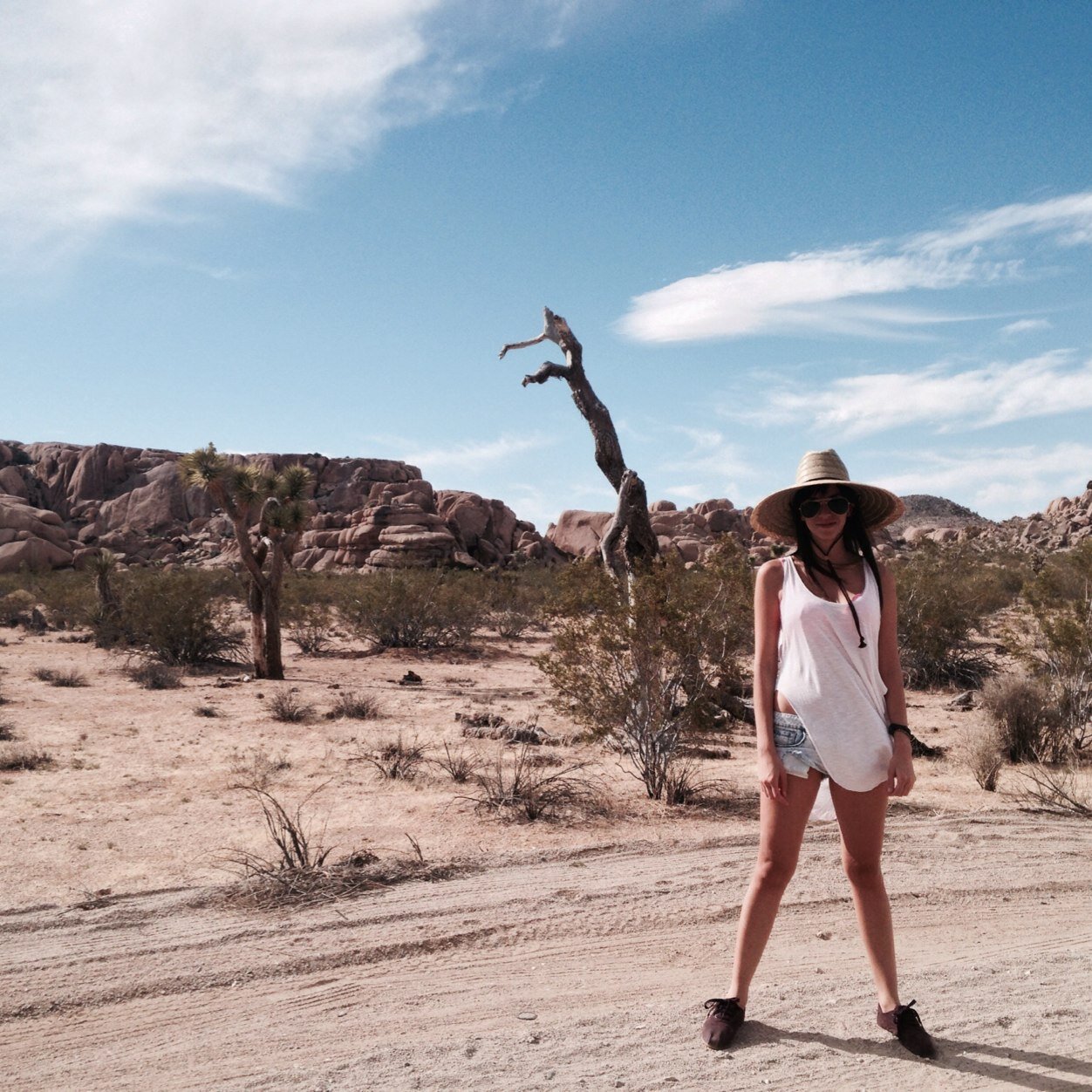 Adventurer, & cyber-activist. Traveler in search of signification.