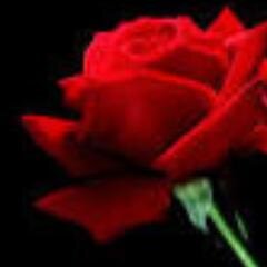 alreamam's profile picture. *استغفر الله واتوب اليه*