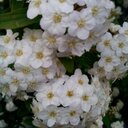 Nader Gholami - @gh1353 - Twitter