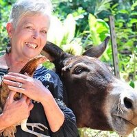 Melody Hofmann (@fogieyogi) Twitter profile photo