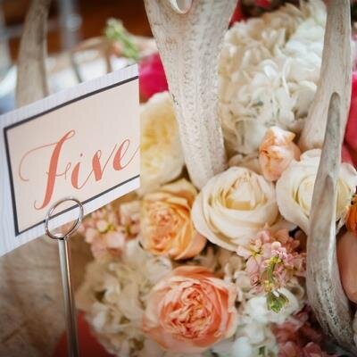 All about Mountain weddings for the Mountain inspired Bride