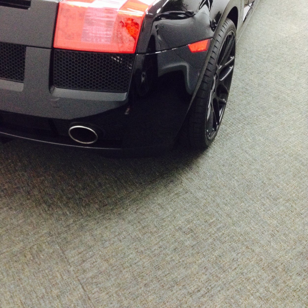 blancha509's profile picture. 