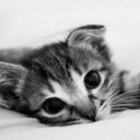 Donnell Freeman - @donnellfreem - Twitter