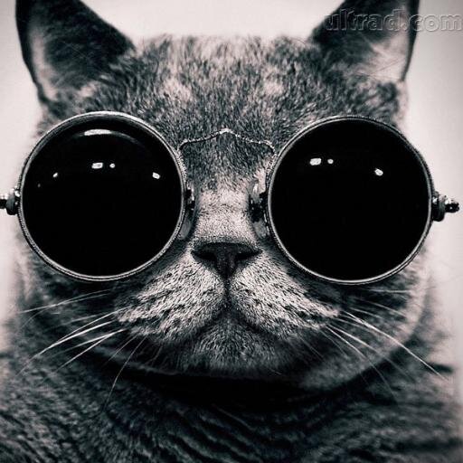 JA1VICTOR_OP's profile picture. AHHHH !!!                       --___--