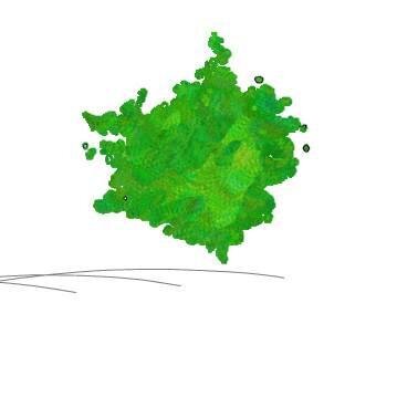 erbaceeperenni's profile picture. Landscape architect fond of herbaceous perennials based in England and Italy designs gardens all over the world