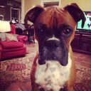 gary windham - @doubledawgdare - Twitter