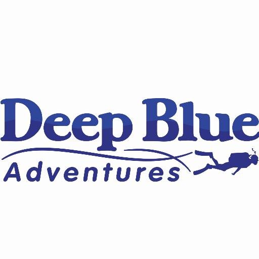The world's best in #Scuba #diving & #adventure vacations. #Travel above & below, Service above & Beyond.
@DiveTravelGuru
@DeepBlueTerri